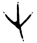 Bird Track Symbol
