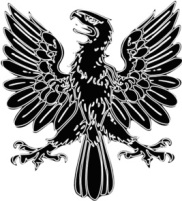 The Hawk Symbol
