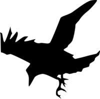 Raven Symbol