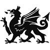 Welsh Dragon (Y Ddraig Goch- The Red Dragon)