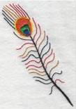 Peacock Tail