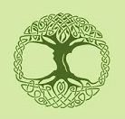 Celtic Hawthorn Tree