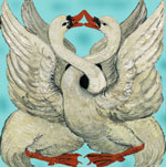 Animal Love Symbol Meaning for Swan