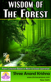 Wisdom of the Forest